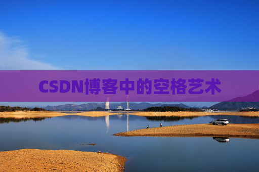 CSDN博客中的空格艺术